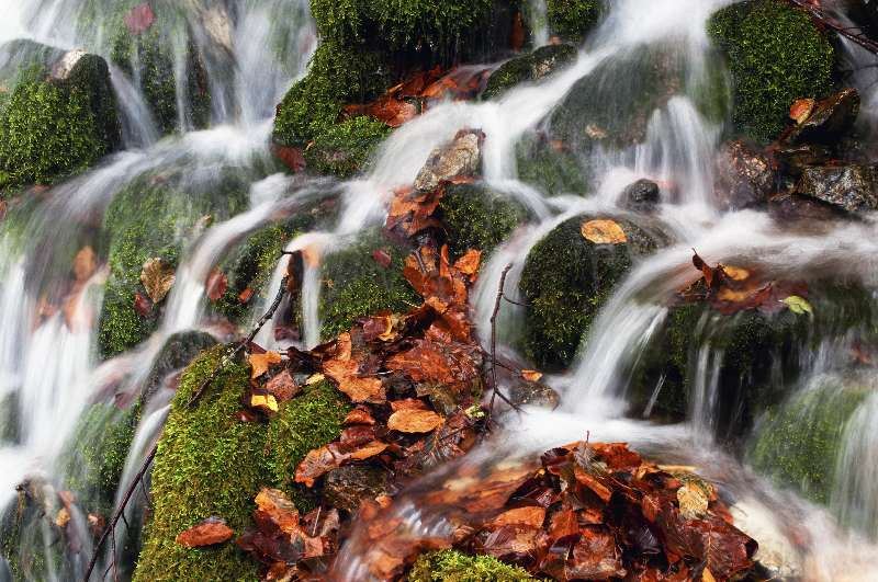 Impresii si Pareri Hoteluri Muntenegru